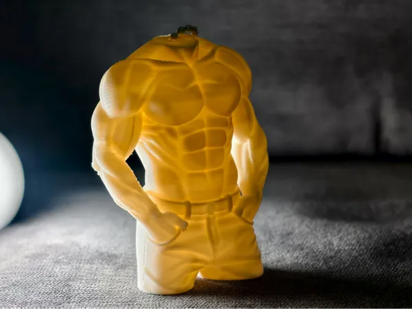 https://makerworld.bblmw.com/makerworld/model/US218a0c692c2c39/design/2025-07-22_92fcbd9be173d.jpg