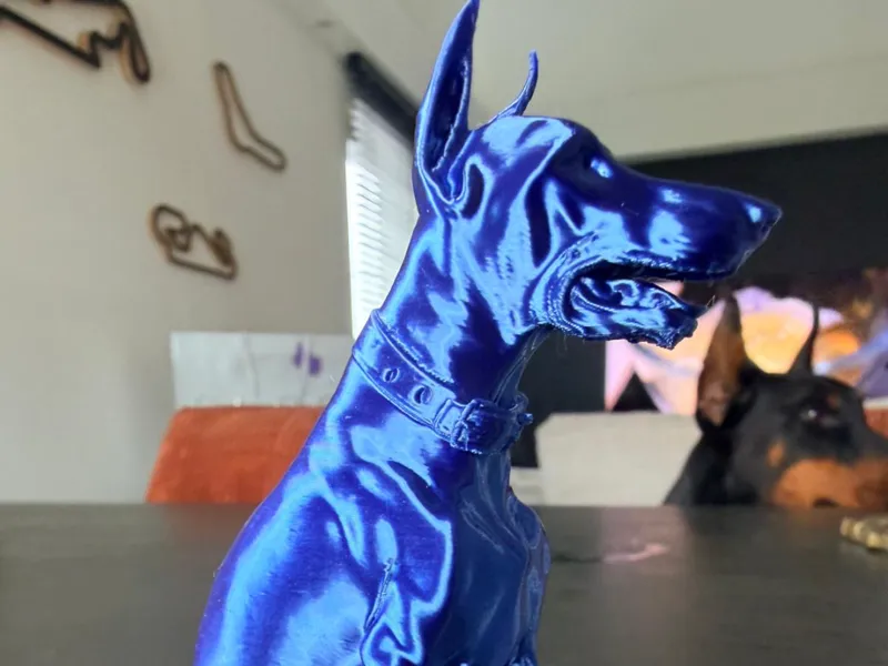 doberman