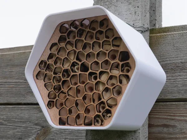 https://makerworld.bblmw.com/makerworld/model/US218d745a0ae3fd/design/2024-05-19_d9b6190403a77.jpg