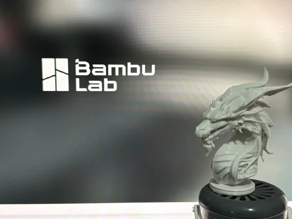 https://makerworld.bblmw.com/makerworld/model/US2190e21e80d100/design/2024-11-26_3ee7443d61acd.jpg