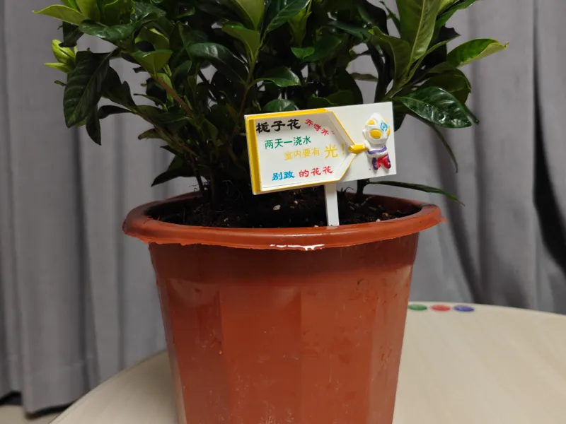 奥特曼植物标识牌