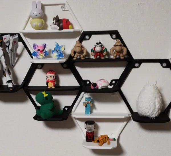 https://makerworld.bblmw.com/makerworld/model/US219c58830fb40c/design/2025-01-10_66949666ad046.jpg
