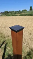 Standard Cap Version