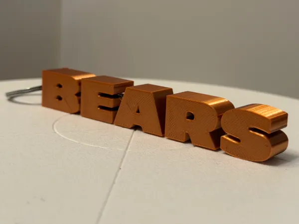 https://makerworld.bblmw.com/makerworld/model/US21b30b9ef5b608/design/2025-12-20_10b127e820986.png