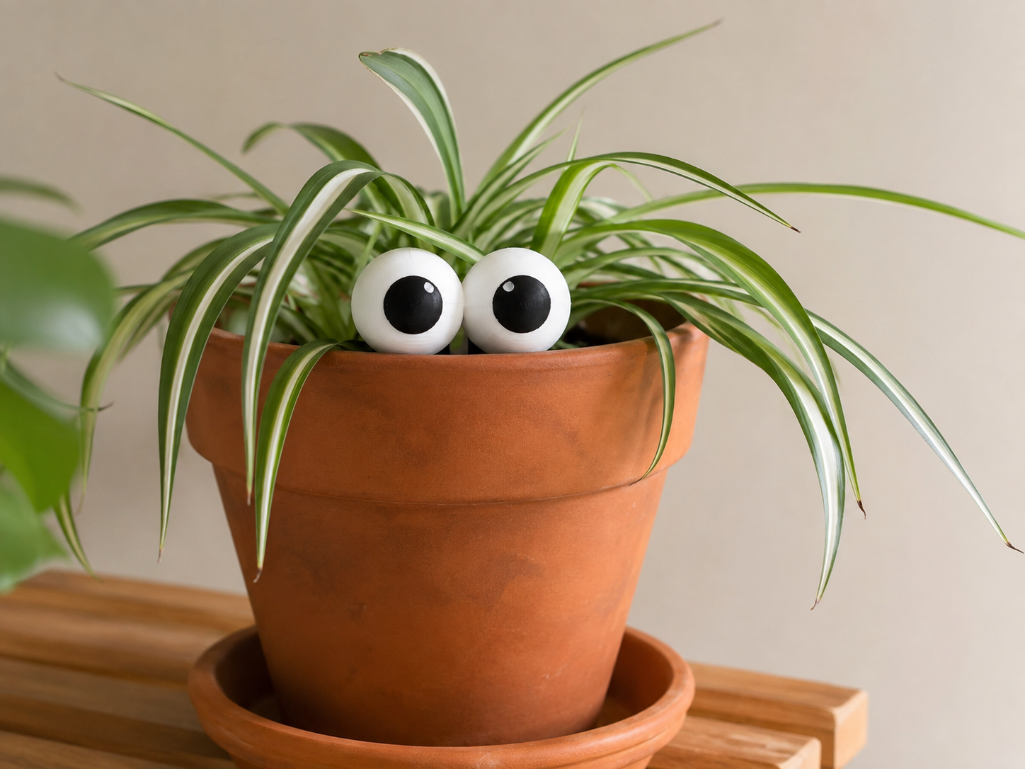 Googly Eyes Plant Stake - No AMS - Customizable! - 1