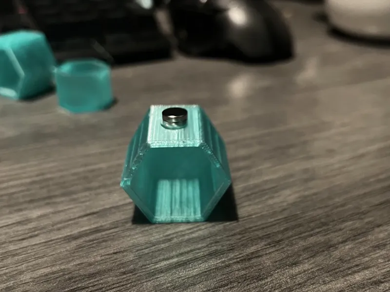 Jumping Spider Hide 2