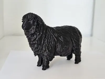 Realistic Sheep – detailed 3D model