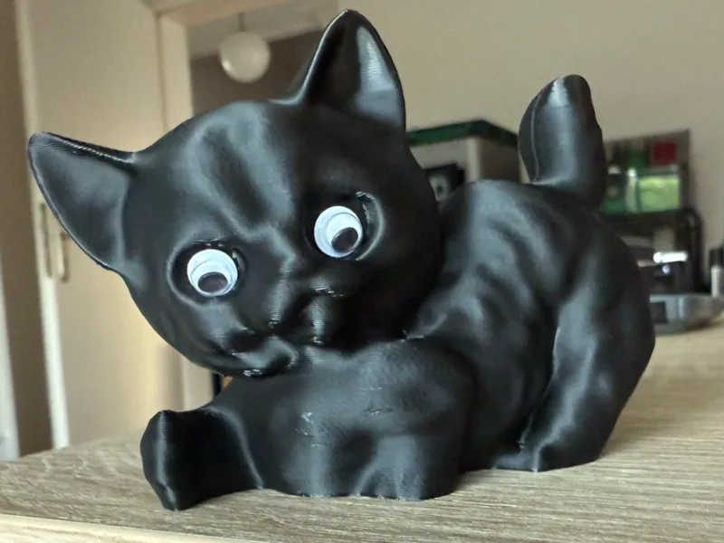 Sweet Cat with Glue eyes