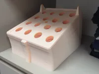 0.2mm layer, 2 walls, 15% infill A1
