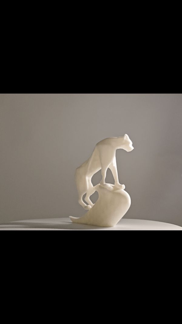 https://makerworld.bblmw.com/makerworld/model/US21c1a08d43c26f/design/5be73a38-556b-4f37-95d5-c2e978598a70.gif