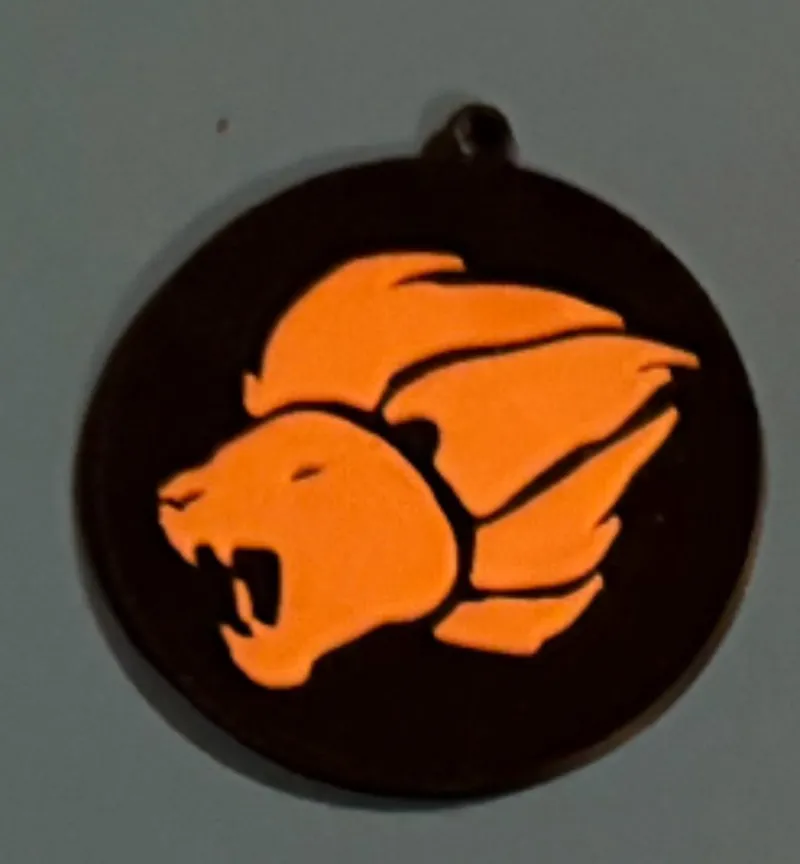 ciondolo the lion guard