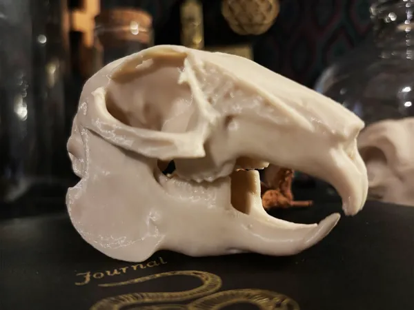 https://makerworld.bblmw.com/makerworld/model/US21c47ed6b42e00/design/2025-03-26_ad39fcea9e6e3.png