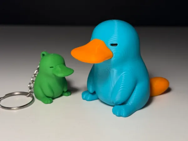 https://makerworld.bblmw.com/makerworld/model/US21c7f54dc16761/design/f5277fdcd30efb01.jpg