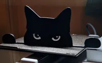 Silhouette de chat noir — photo 7
