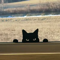 Silhouette de chat noir — photo 1