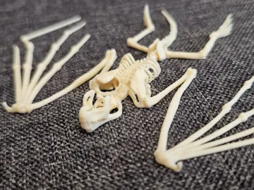 Adorno temático: House Invaders - Bat Skeleton — vista de referencia 5