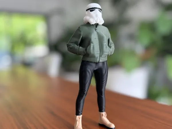 https://makerworld.bblmw.com/makerworld/model/US21cacd26382db8/design/2025-04-25_fcc6616151e808.jpg
