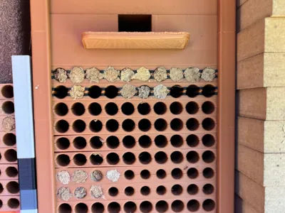 Nesting Aids - Nesting Plates for Wild Bees