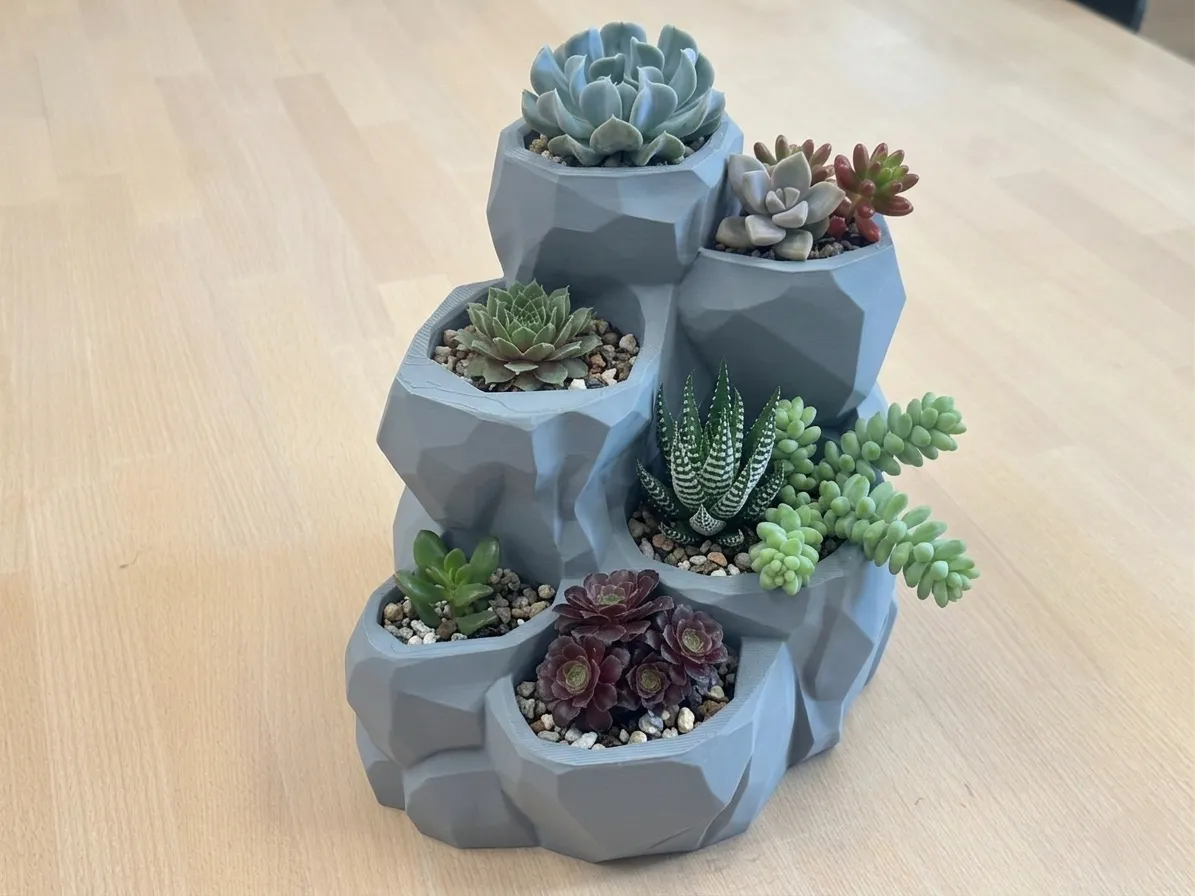 Succulent pot - planter view 2