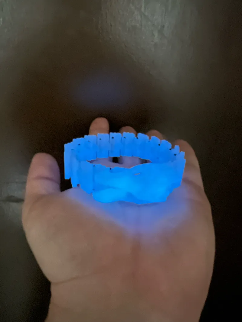 Dragon Bracelet
