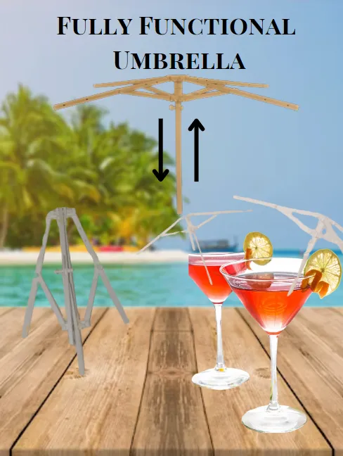 Functional Umbrella