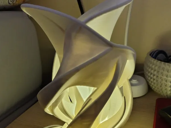 https://makerworld.bblmw.com/makerworld/model/US21e9b1cb6cdcde/design/c5854afe816dea31.jpeg