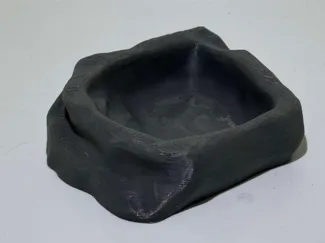 Friendly Reptile Dish