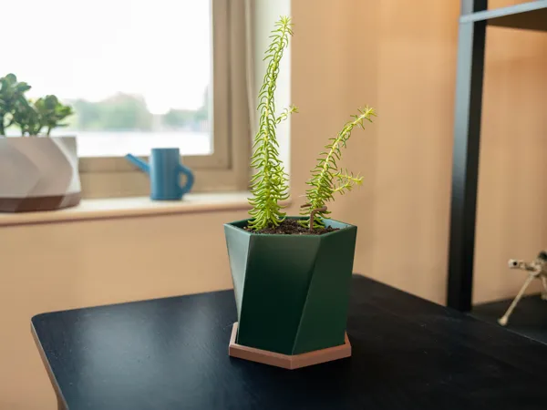 https://makerworld.bblmw.com/makerworld/model/US21ec66a2e45d9b/design/2024-09-24_ca50e63e8ab9c.jpg