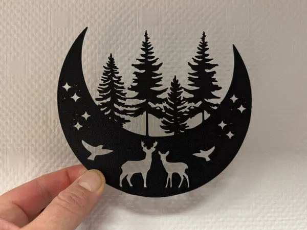 https://makerworld.bblmw.com/makerworld/model/US21edaa44889808/design/2024-11-25_72c1230f9ca45.jpeg
