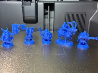 Dwarf Warband