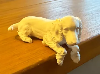 Cocker Spaniel