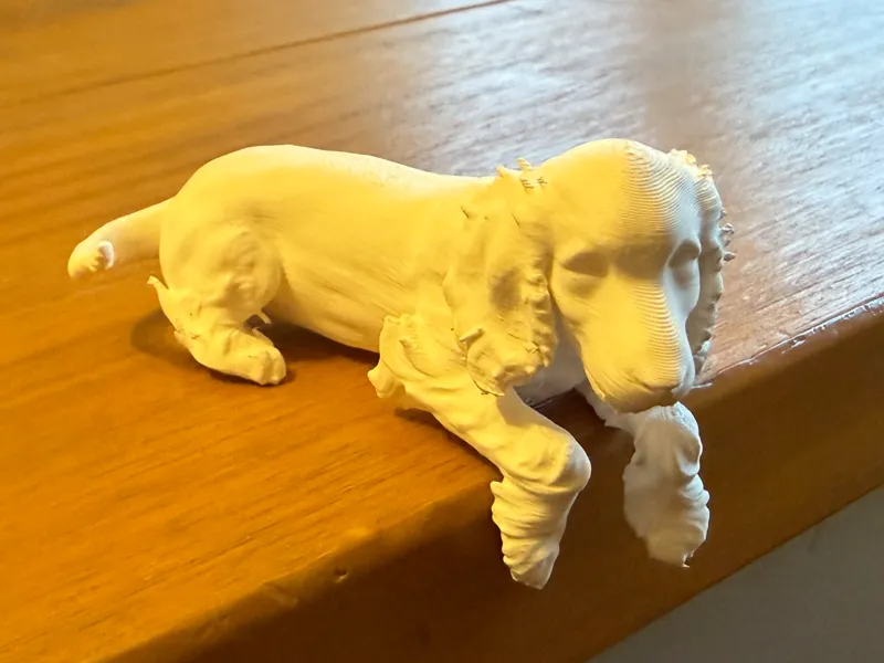 Cocker Spaniel