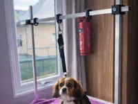 Adjustable Dog Grooming Arm (20x20 Profile)