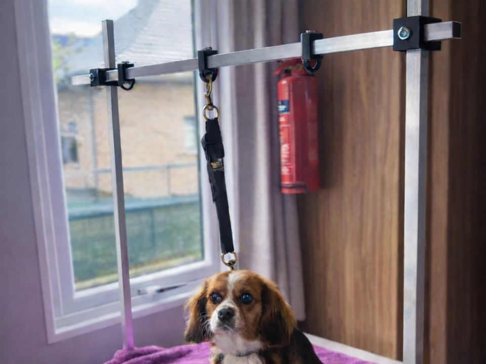 Adjustable Dog Grooming Arm (20x20 Profile)