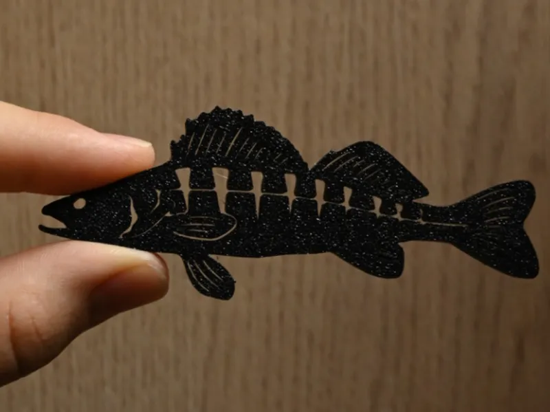 Zander 2D Model