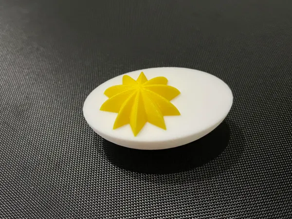 https://makerworld.bblmw.com/makerworld/model/US21ffc596648e3e/design/2025-03-16_6e3d4b54154f9.jpg