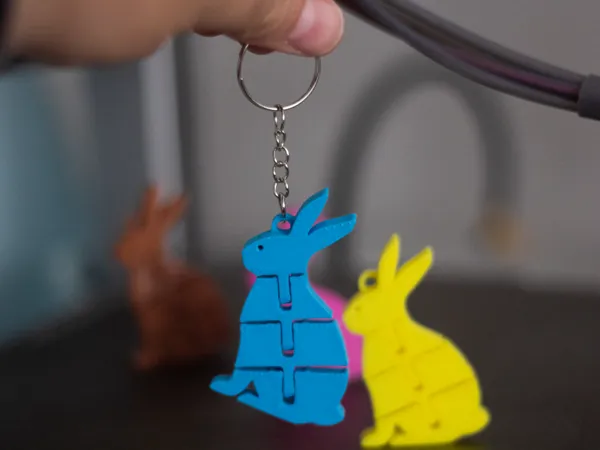 https://makerworld.bblmw.com/makerworld/model/US22071bf4742a01/design/2024-10-24_898309a506498.jpg