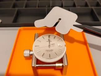 Deluxe Dial Protector