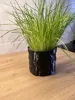 Vase Mode, 0.2mm layer, 1 walls, 0% infill