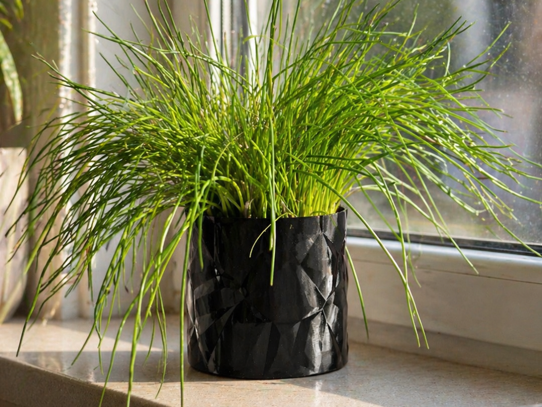 Faceted Stone Planter – Vase Mode