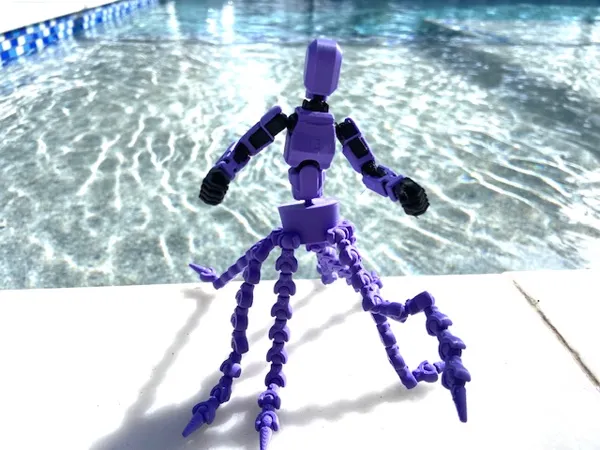 https://makerworld.bblmw.com/makerworld/model/US220de0db7f1872/design/2025-01-08_f5674b6ce24c5.jpg