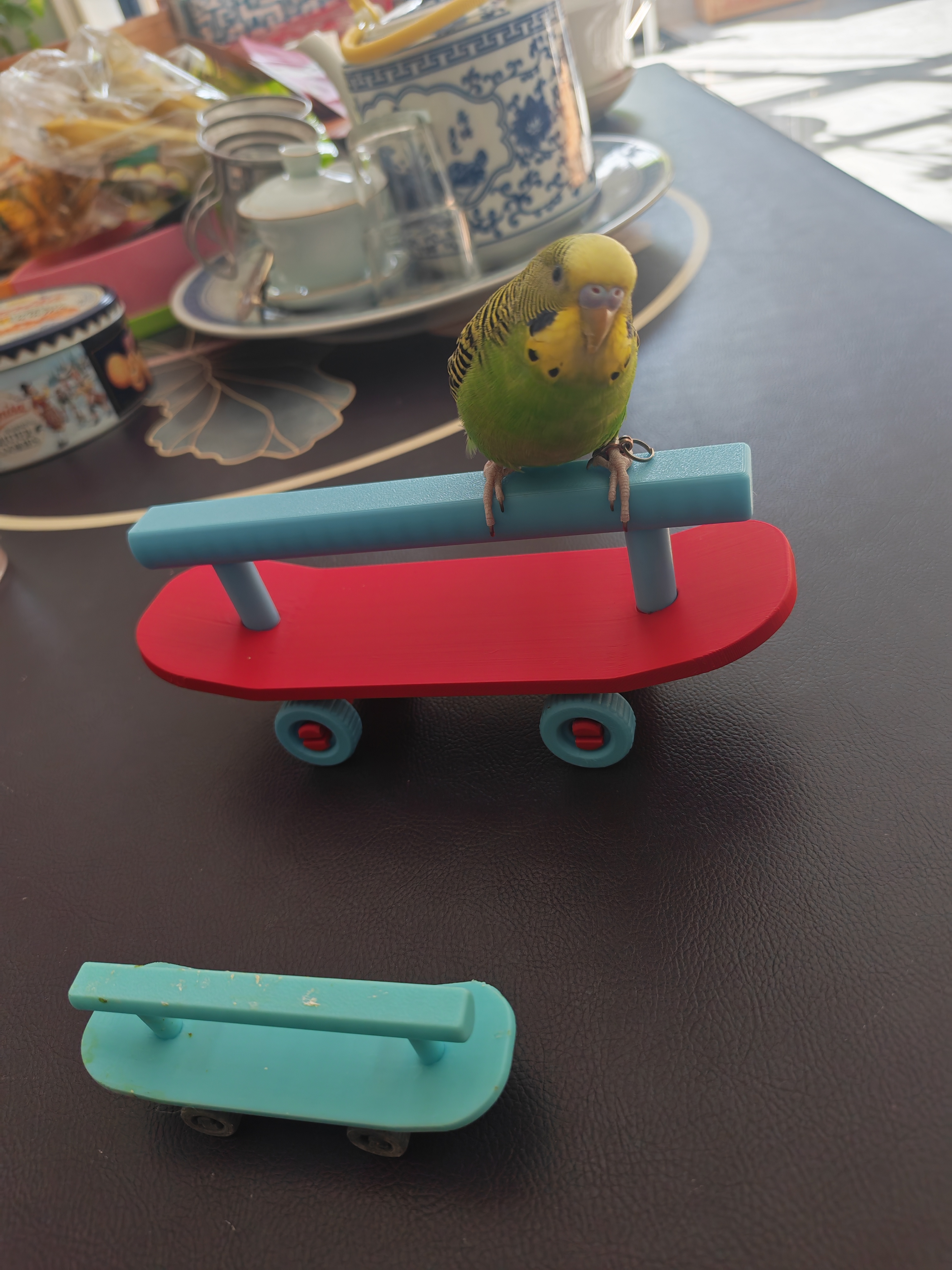 Miniatura 5 do modelo 3D 宠物鹦鹉指尖滑板