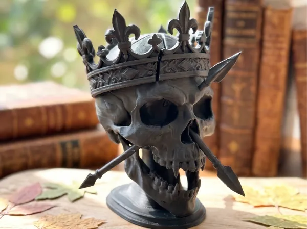 https://makerworld.bblmw.com/makerworld/model/US2214c4f1290bd8/design/5170577280a6664a.png