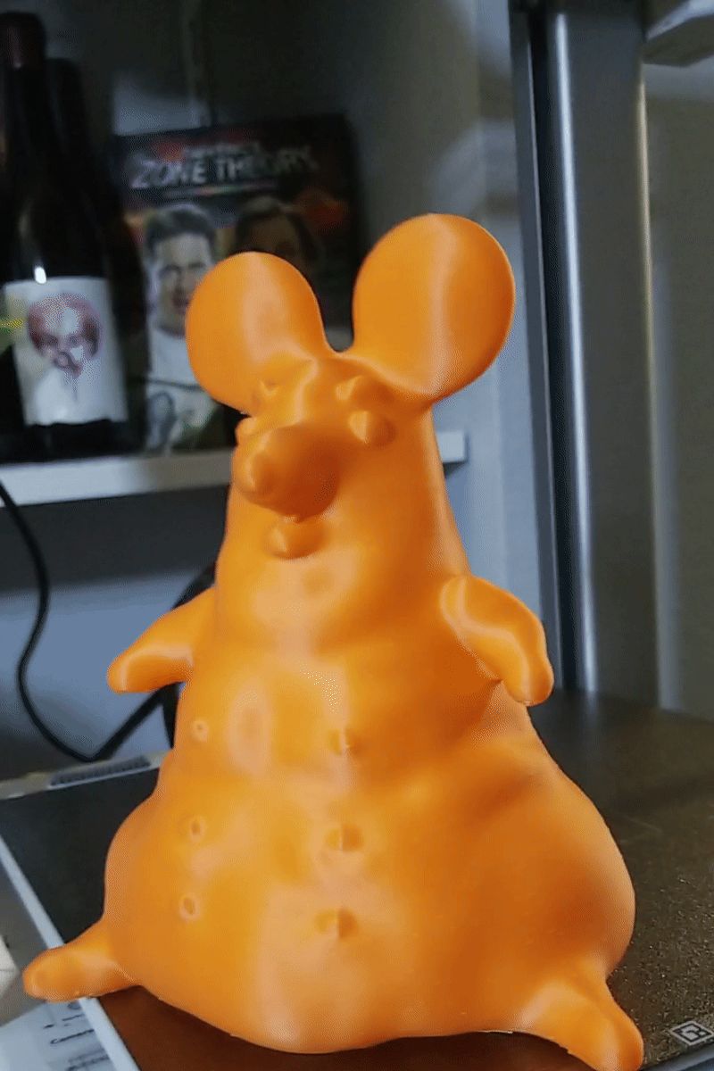Obese Rat