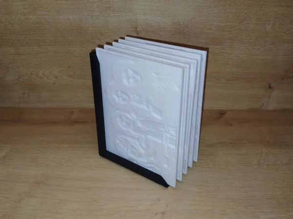 https://makerworld.bblmw.com/makerworld/model/US221842b77b05b9/design/2024-11-08_c44755b5716dd.jpg
