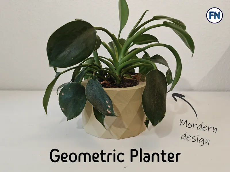 Geometric planter