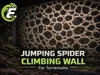Single 0.2mm layer, 2 walls, 15% infill