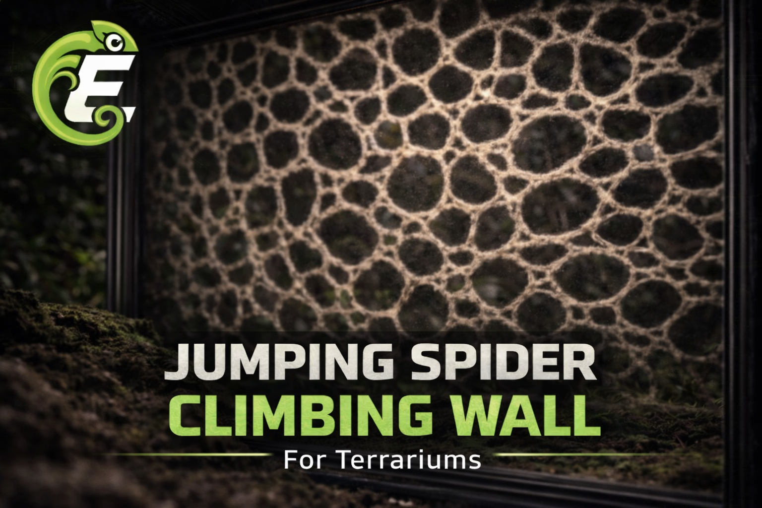Miniatura 2 do modelo 3D Jumping Spider Climbing Wall