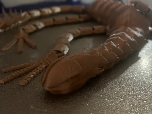 https://makerworld.bblmw.com/makerworld/model/US221f22c6518d72/design/2025-02-26_699d612576b5a8.jpeg