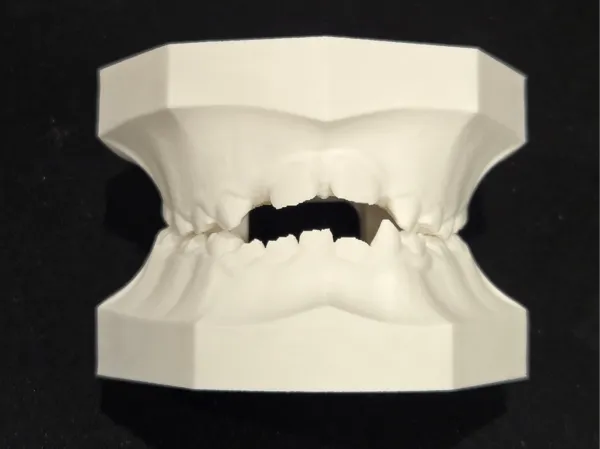 https://makerworld.bblmw.com/makerworld/model/US22203d5919804f/design/2025-04-30_a382adb7bebf8.jpg